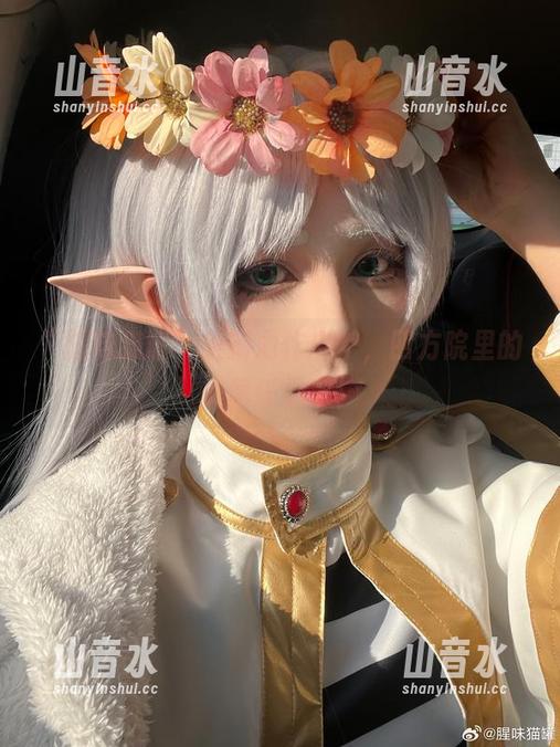 腥味猫罐 “腥味猫罐”全新力作出炉,四方院里的美图任你拿!